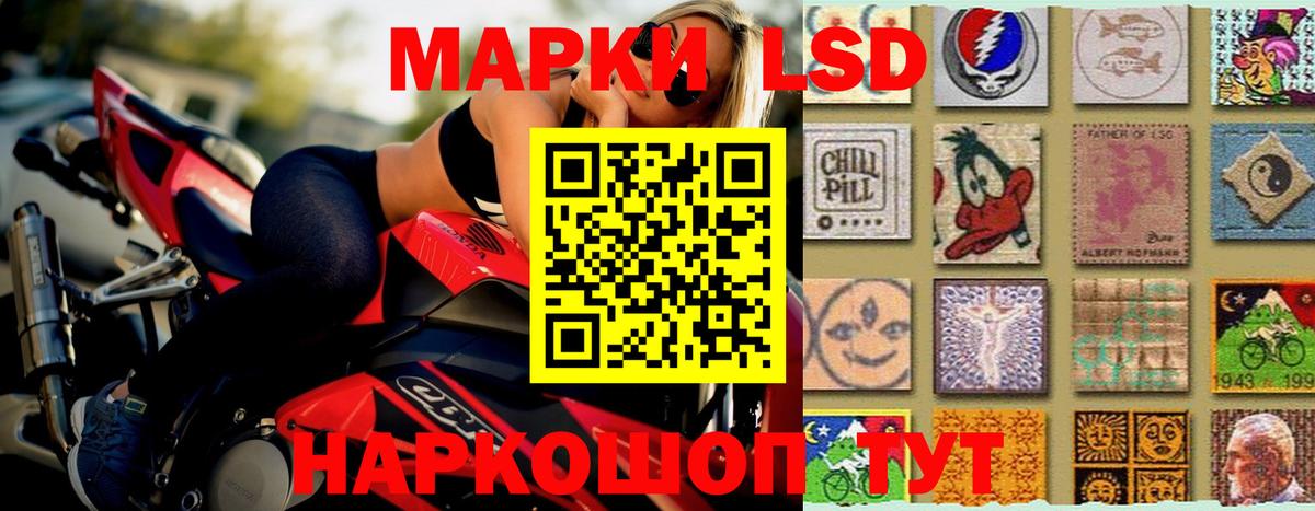 Бердск  Лсд 25 экстази кислота  Вход с VPN  LSD-25 экстази кислота 