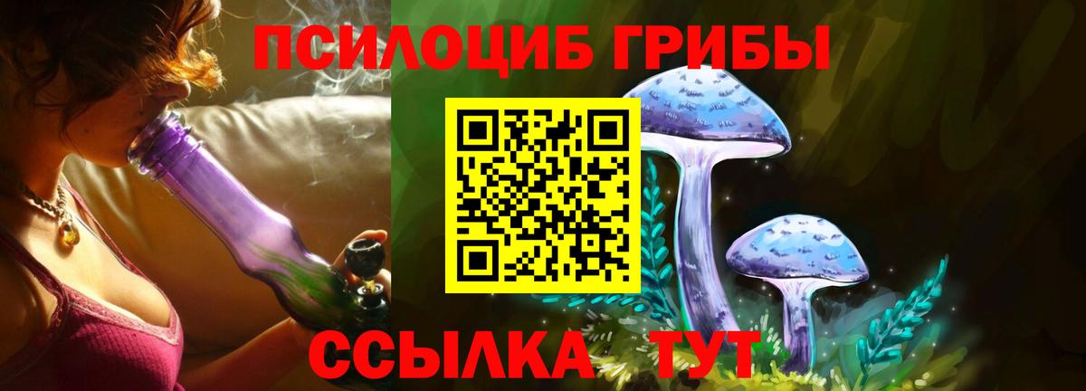 Галлюциногенные грибы Cubensis Бердск