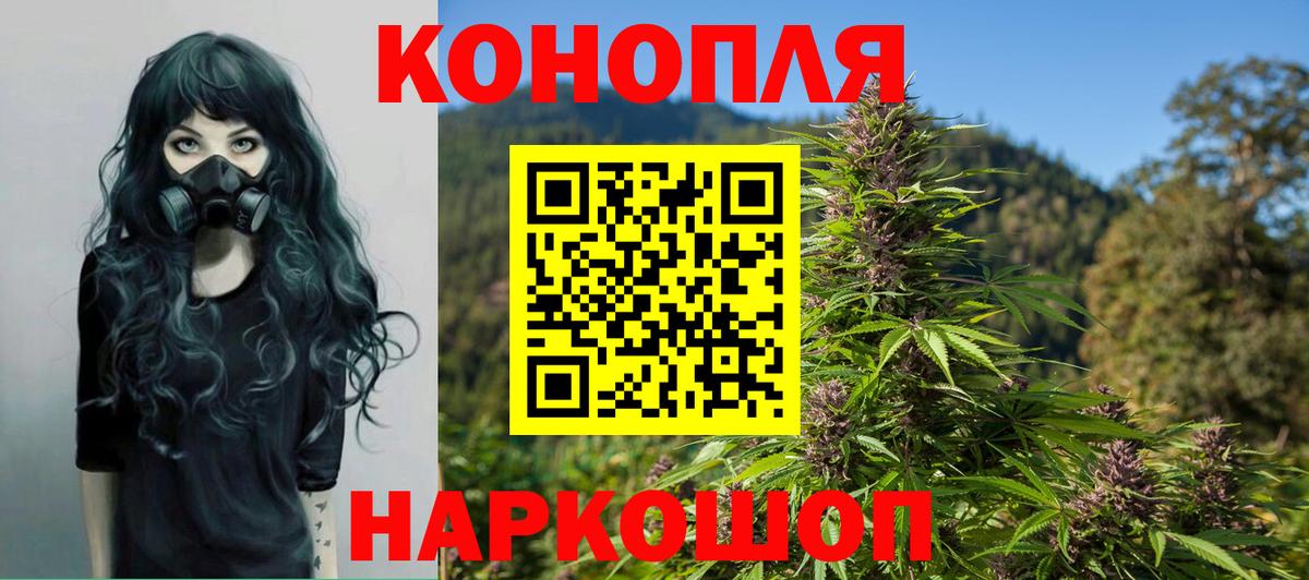 МАРИХУАНА планчик  Марихуана гибрид  Бердск  Вход с VPN  Конопля марихуана  Каннабис OG Kush 